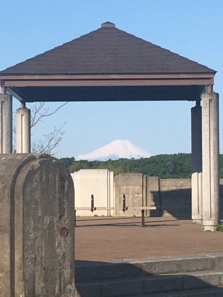 朝ウォーキング中に出会った富士山